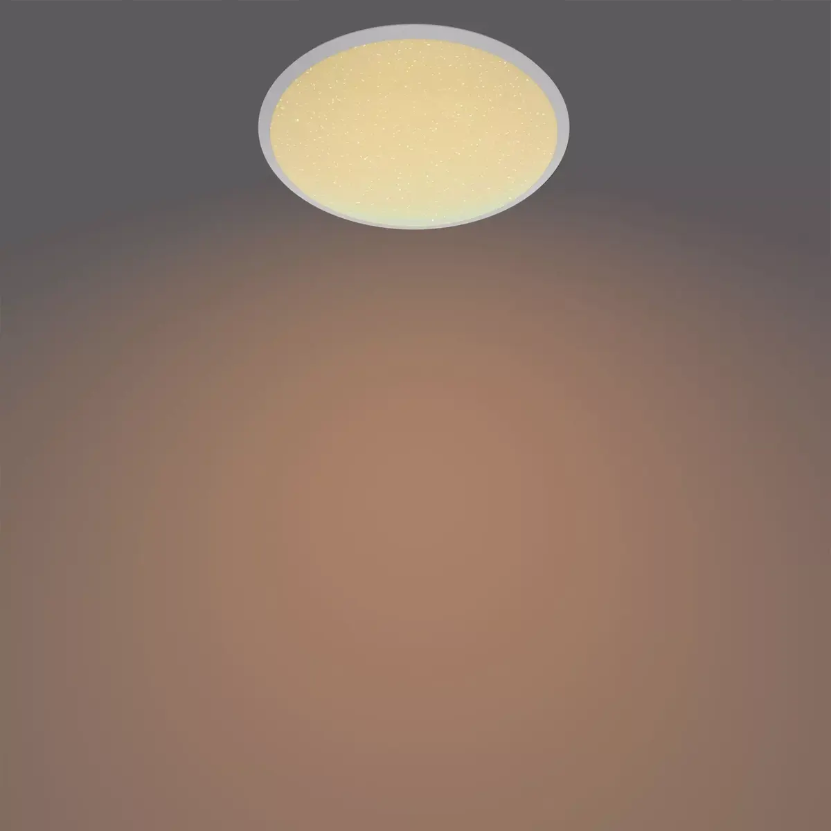 Ceiling light Philips Functional 929002668201 LED 12W Photo 2