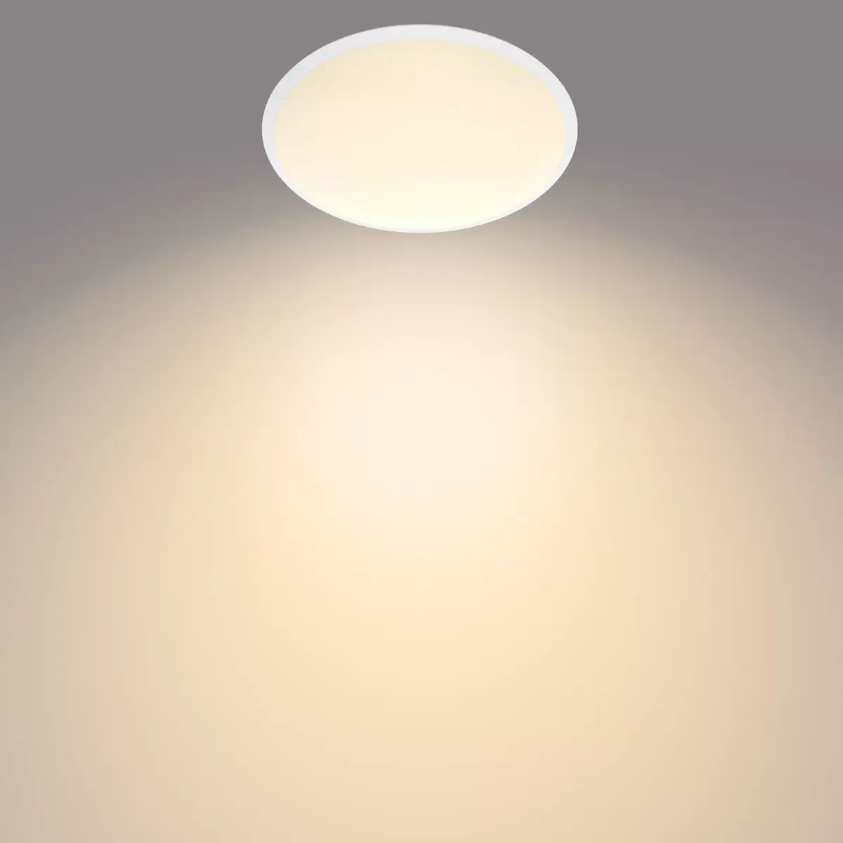 Ceiling light Philips Functional 929002668201 LED 12W Photo 3