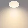 Ceiling light Philips Functional 929002668201 LED 12W Photo 3