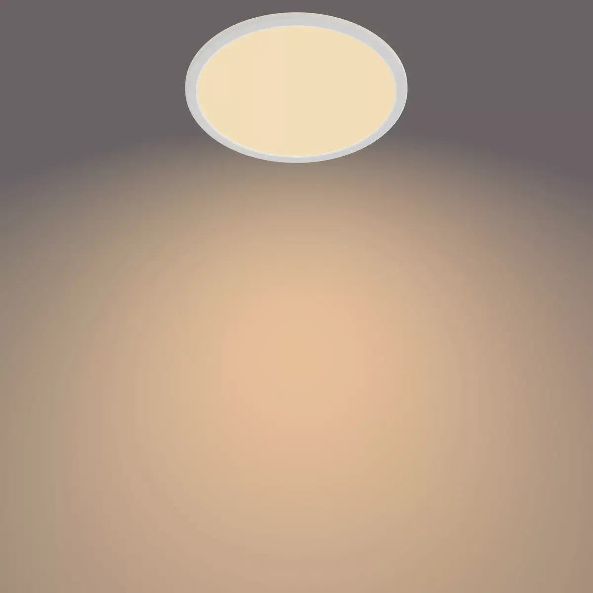 Griestu lampa Philips Functional Super Slim 15 W Photo 2