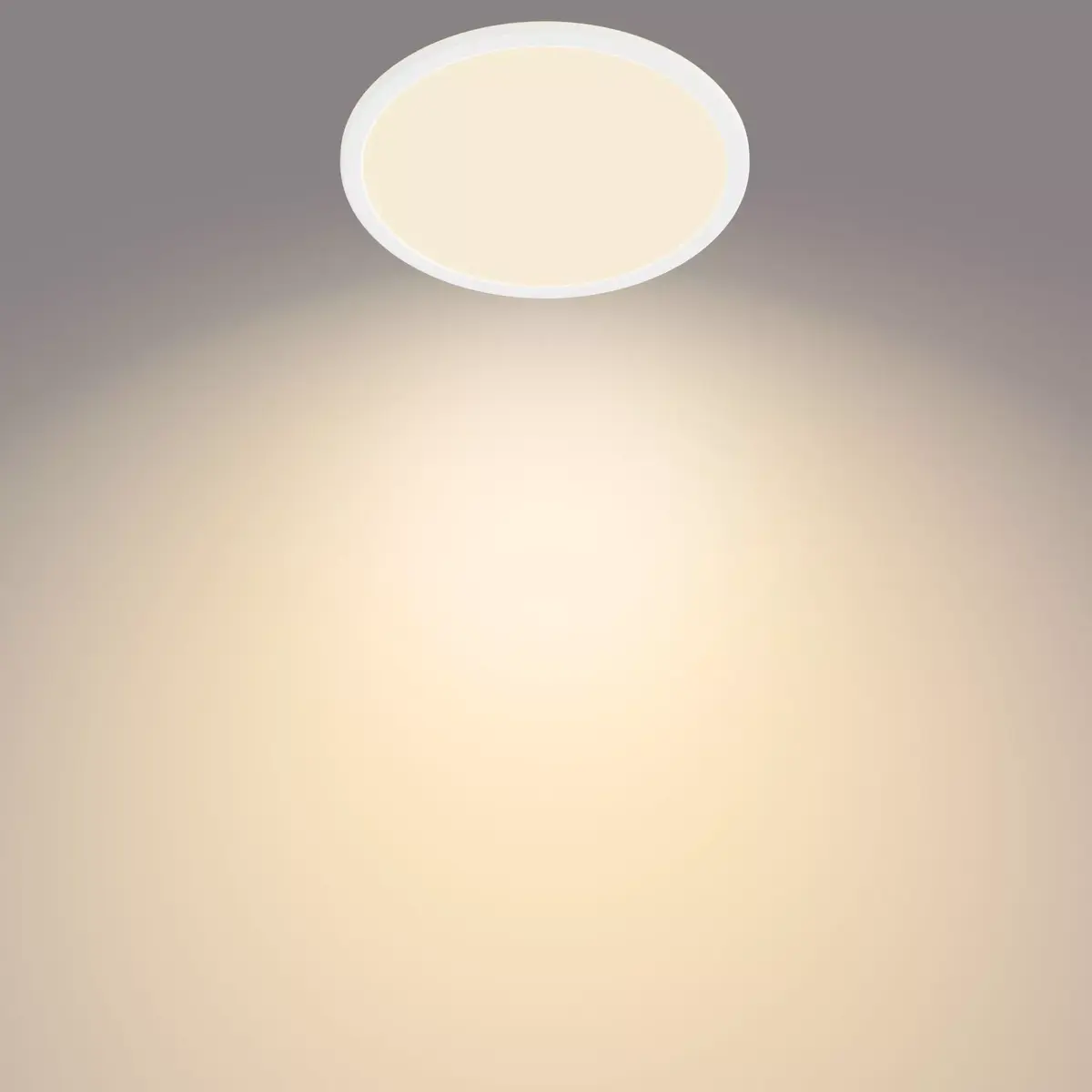 Griestu lampa Philips Functional Super Slim 15 W Photo 3