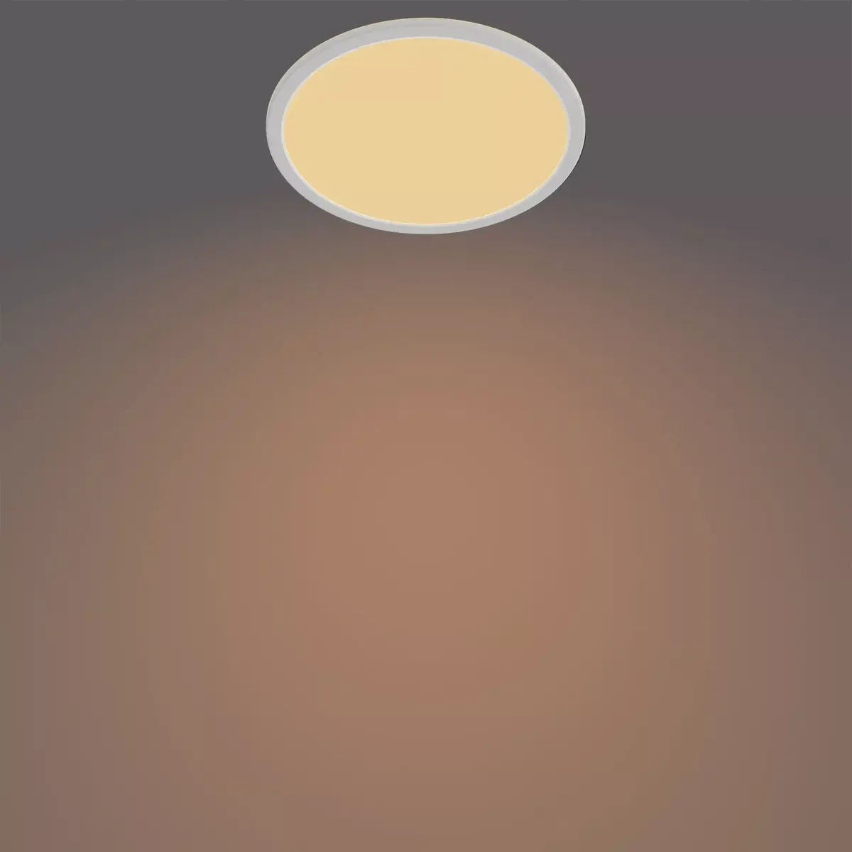 Griestu lampa Philips Functional Super Slim 15 W Photo 4