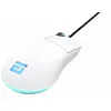 Игровая мышь Endgame Gear XM1 RGB Photo 6