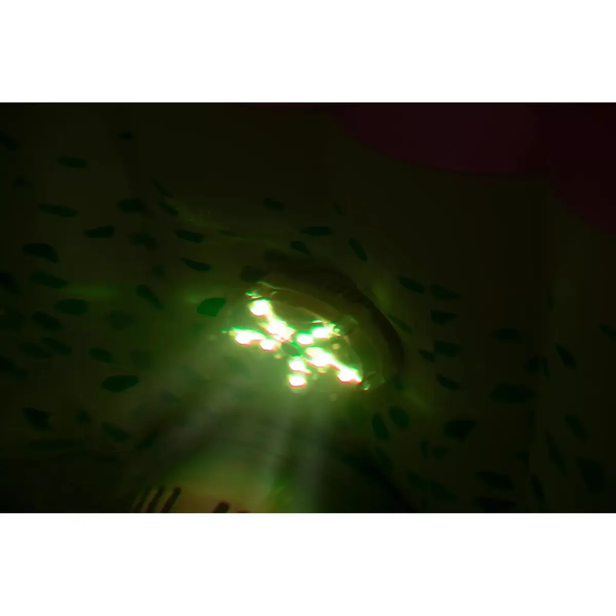 Bestway Lay-Z-Spa 7-Color LED Light for hot tubs Photo 7