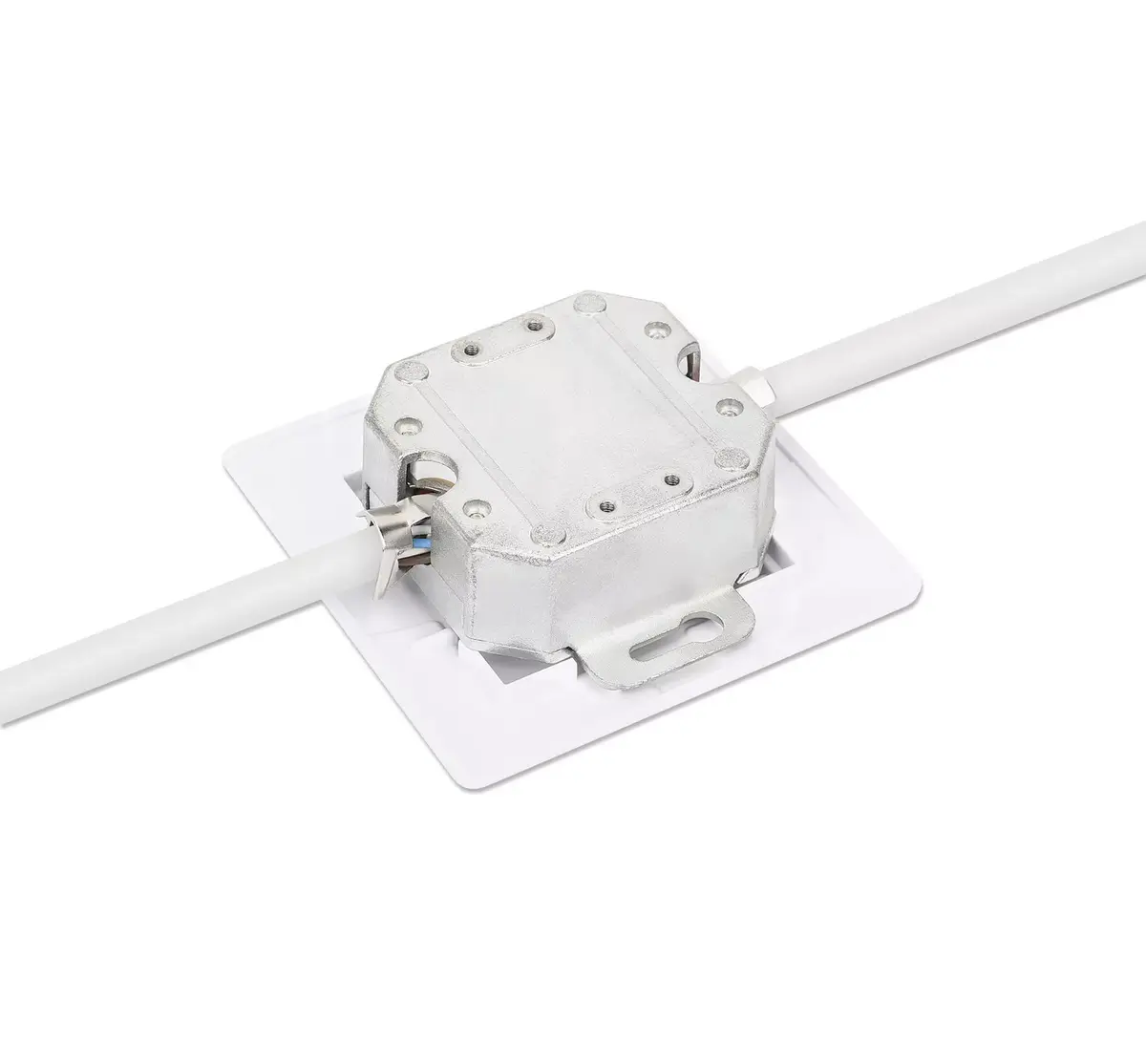 Intellinet 2-Port Cat6 10G Shielded RJ45 Wall Plate Photo 6