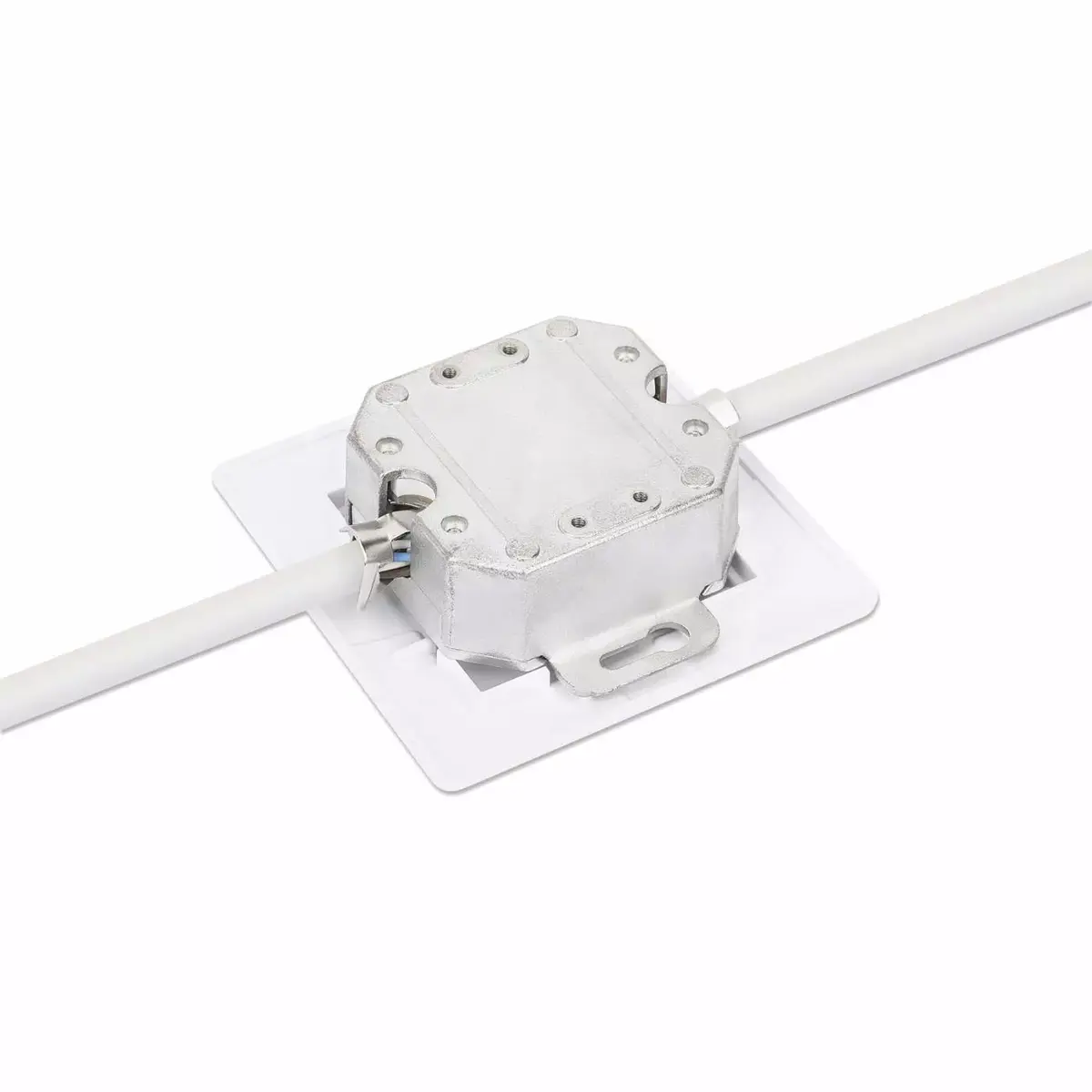 Intellinet 2-Port Cat6a 10G Wall Plate Photo 6