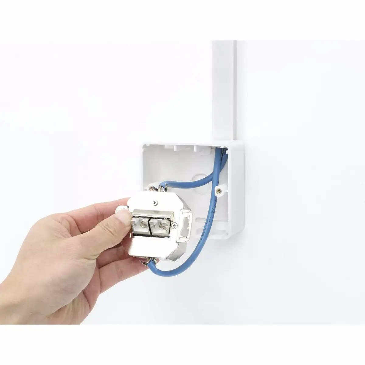 Intellinet 2-Port Cat6a 10G Wall Plate Photo 8