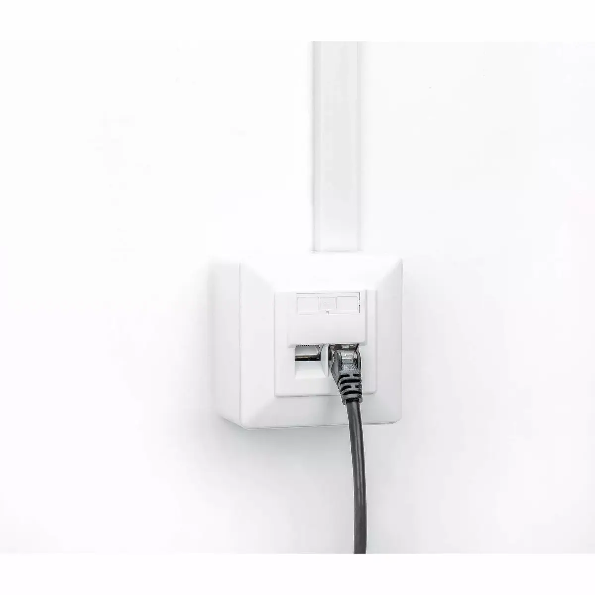 Intellinet 2-Port Cat6a 10G Wall Plate Photo 9