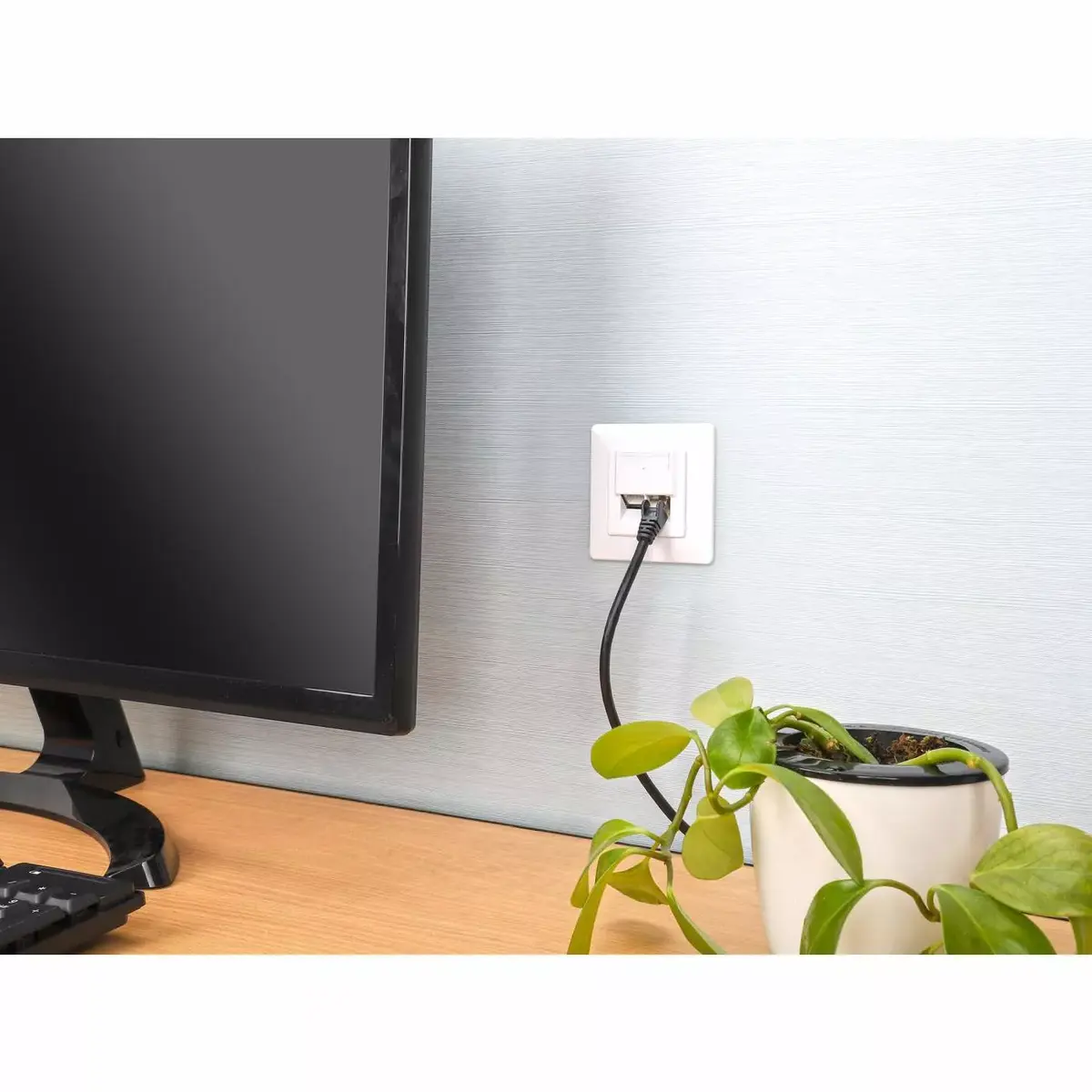 Intellinet 2-Port Cat6a 10G Wall Plate Photo 10