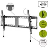 TV Mount Wentronic Pro TILT (XL) 2.54 m (100") Photo 2