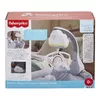 Fisher-Price Rainbow Showers Bassinet to Bedside Mobile Photo 6