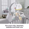 Fisher-Price Rainbow Showers Bassinet to Bedside Mobile Photo 8