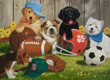 Ravensburger Let's Play Ball! — 200 daļu puzle Photo 2