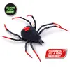 Robots rotaļlieta Zuru Robo Alive Crawling Spider Photo 10