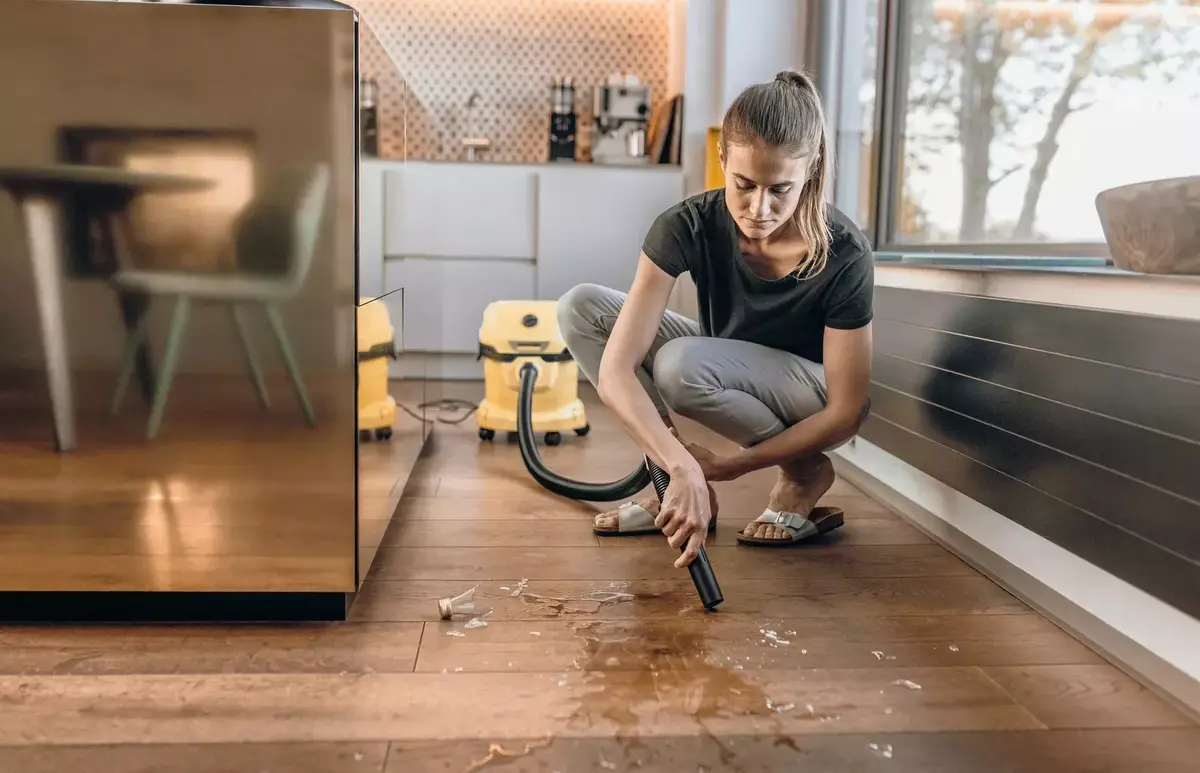 Пылесос-барабан Karcher WD 2 Plus V-12/4/18 Photo 8
