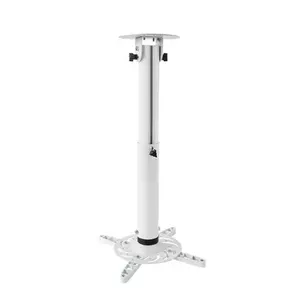 Ceiling Mount Vivolink VLMC200