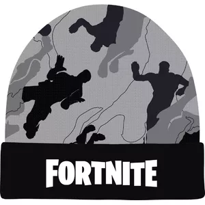FORTNITE APLIKĀCIJA