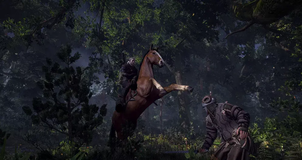 BANDAI NAMCO Entertainment The Witcher 3: Wild Hunt Game of the Year Edition, PS4 5902367640354 Photo 3