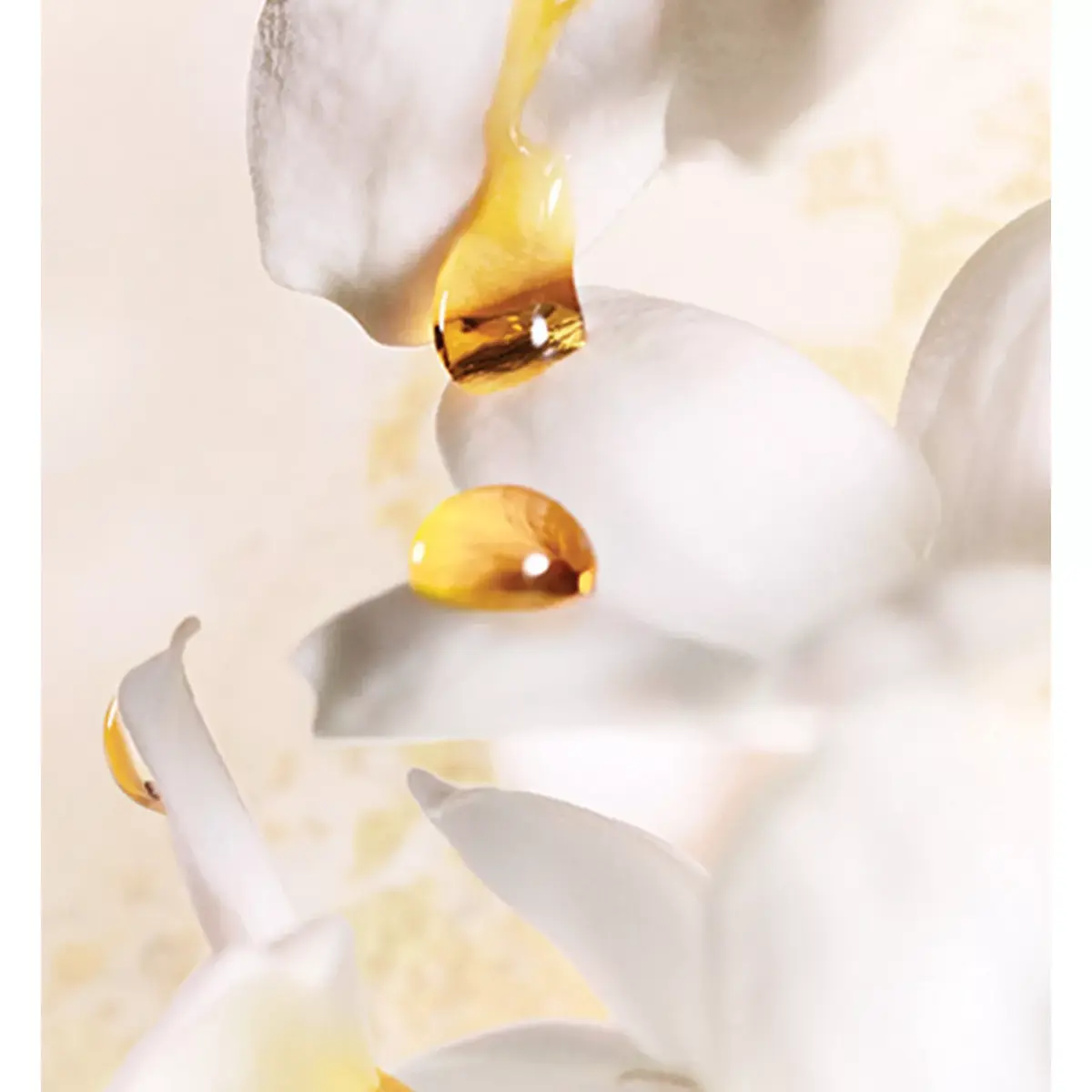 Dior J'Adore parfimērijas ūdens sievietēm 30 ml Photo 3