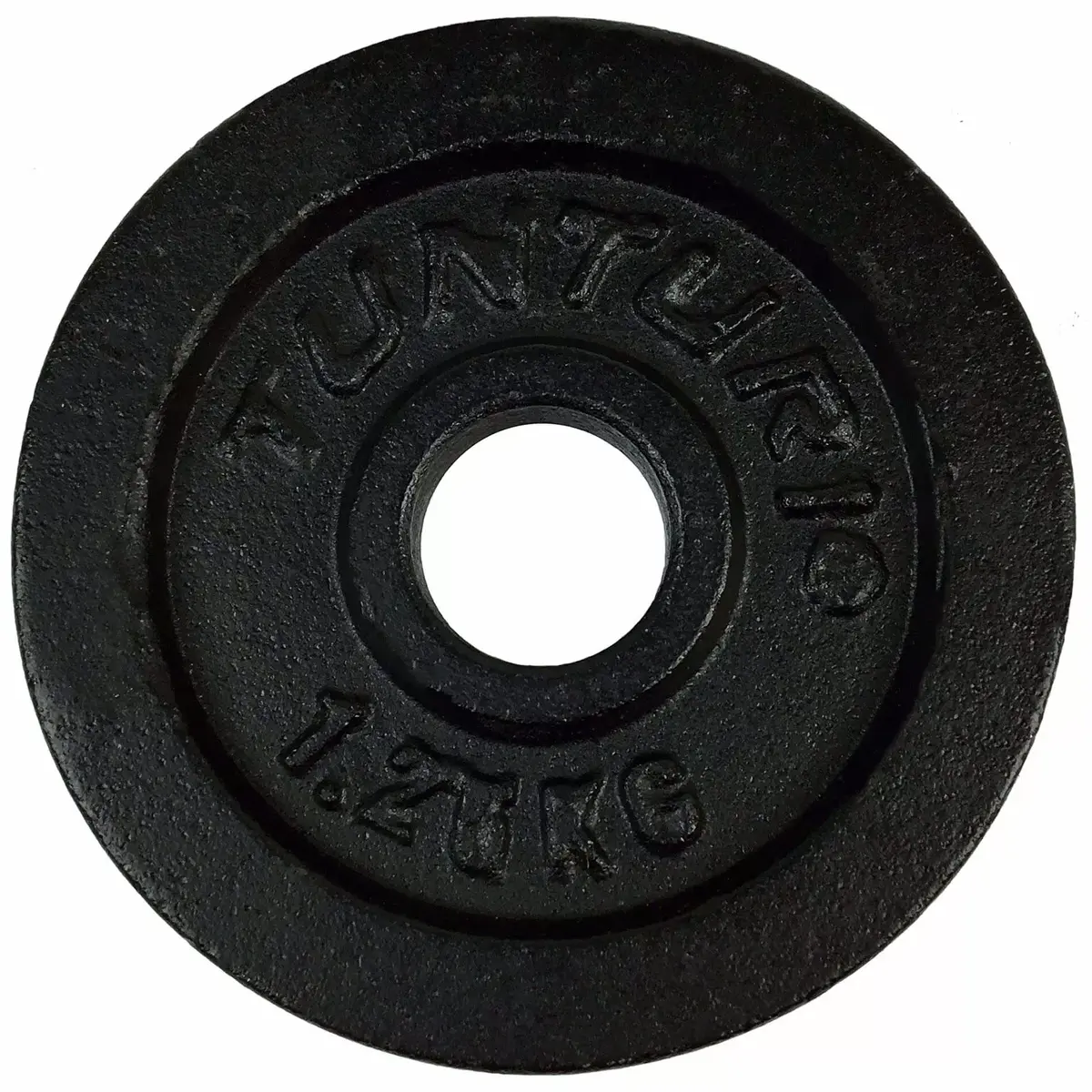 Чугунные диски Tunturi 1,25 кг ×2 Photo 2