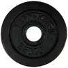 Чугунные диски Tunturi 1,25 кг ×2 Photo 2
