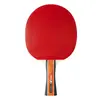 Galda tenisa rakete Cornilleau Sport 300 Photo 5