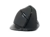 Pele Conceptronic LORCAN ERGO Photo 5