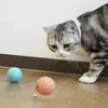 Doggy Village Frantic Orb Mini MT7111P Photo 4