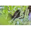Šļūteņu turētājs Gardena 13208-20 Photo 4