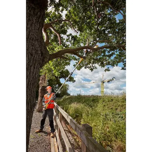 Cordless Chainsaw DeWALT DCMPS567P1-QW Photo 11