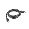 LANBERG DisplayPort kabelis CA-DPDP-10CC-0030-BK 3 m Photo 3