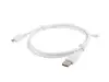 USB 2.0 cable LANBERG CA-USBM-10CC-0010-W Photo 2