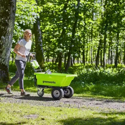 Motorais ratiņkrēsls GreenWorks G40GC Photo 18