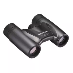 Olympus 10x21 RC II binocular Roof Grey