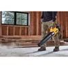 Lapu pūtējs DeWalt DCMBL562N-XJ Photo 3