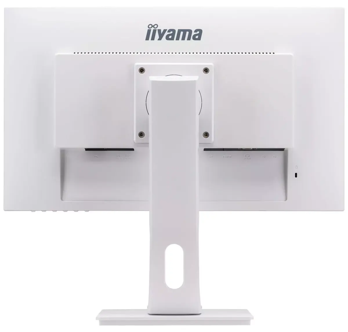 Монитор iiyama ProLite XUB2492HSU-W1 23.8" Full HD IPS Photo 6