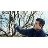Bezvadu zāles šķēres Bosch Pro Pruner 06019K1021 Photo 7