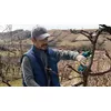 Bezvadu zāles šķēres Bosch Pro Pruner 06019K1021 Photo 8