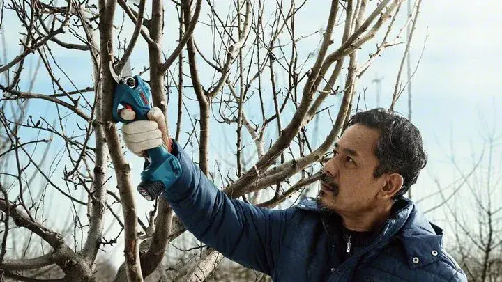 Bezvadu zāles šķēres Bosch Pro Pruner 06019K1021 Photo 11
