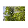 Рюкзак опрыскиватель Gardena 11140-20 Photo 3