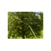 Рюкзак опрыскиватель Gardena 11140-20 Photo 4