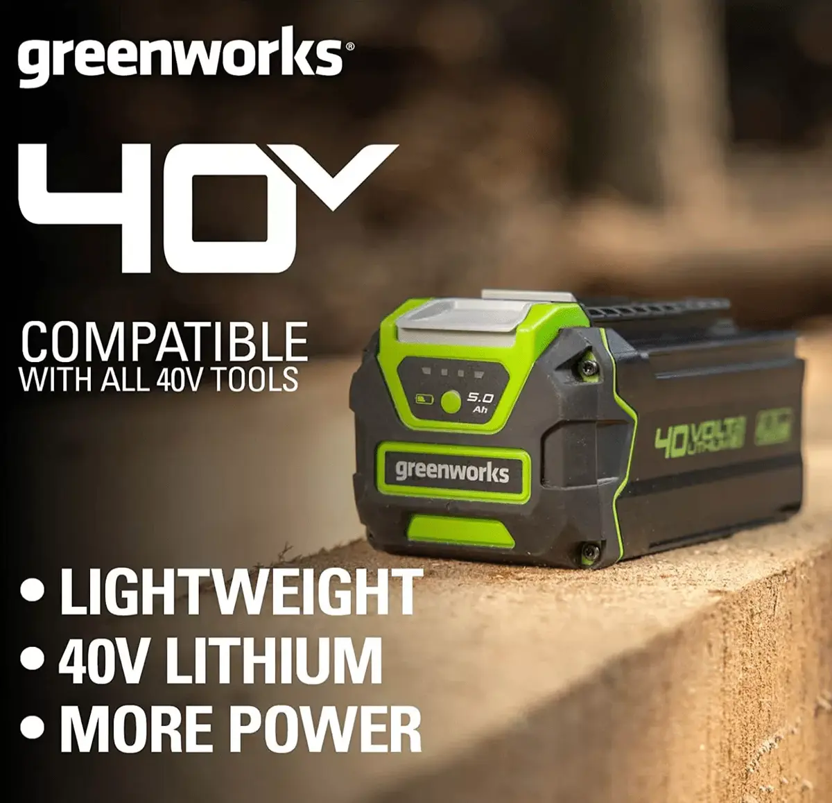 Battery Greenworks 2927207 Photo 2