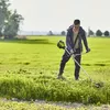 Zāles pļāvējs Greenworks GD60BCB Photo 2