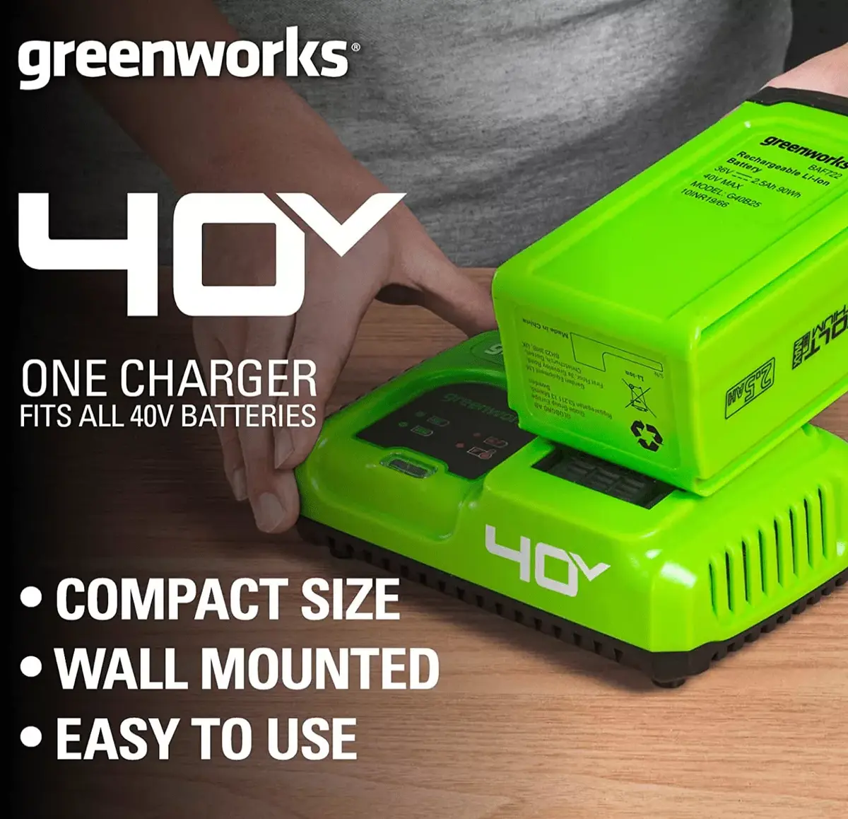 GreenWorks 2945107 battery charger Photo 3