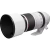 Telephoto Zoom Lens Canon RF 100-500mm F4.5-7.1L IS USM Photo 5
