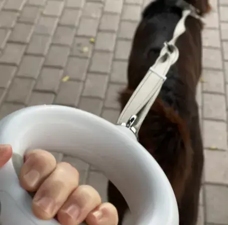 Поводок Doggy Village MT7126 — 2 м светящаяся лента Photo 2