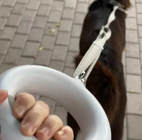 Поводок doggy village MT7129 светящийся Photo 2