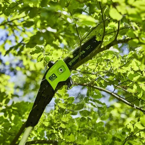 GreenWorks GD60PS25 cordless chainsaw 25 cm Photo 2