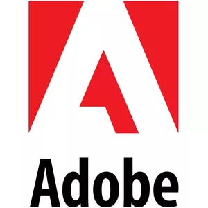 Adobe Acrobat Standard 2020 1 licence(-s) Optiskā rakstzīmju atpazīšana (OCR) 1 gads(i)