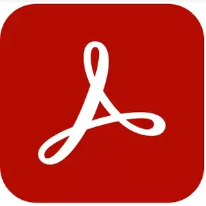 Adobe Acrobat Standard 2020 Правительство (GOV) 1 лицензия(и) Optical Character Recognition (OCR)